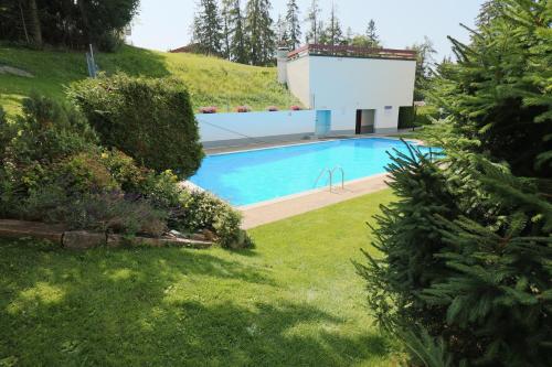 tuin, Studio rénové et élégant en plein centre (Studio renove et elegant en plein centre) in Chermignon