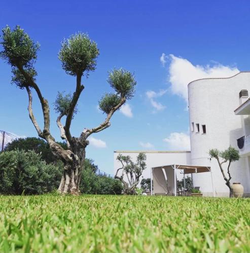  Villa Eagle in Terrasini