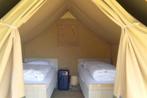 camping pegs Aluminum Tent Pegs – Coghlan's