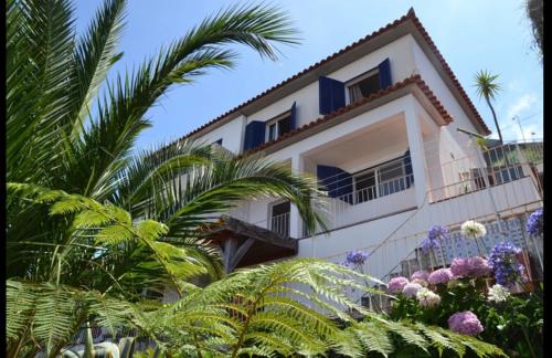  Holiday House 4 You in Funchal