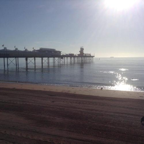 SINGER HOUSE BALLET & MAKE UP SCHOOL & FAMILY GUEST HOUSE  OPEN 17 MAY  Over 8 Thousand Amazing Children Parents & Dancers have visited us THANK YOU  2 BEDROOM PRIVATE ENTRANCE GROUND FLOOR FAMILY SUITES PAIGNTON SEAFRONT PARKING WIFI  GARDENS  - image 41