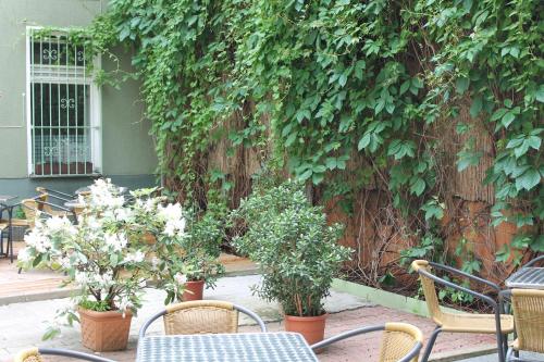 Kolo 77 - main image