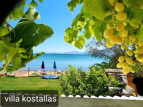 Kostalas Luxury Villa gîte à louer Politiká