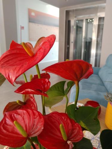 SALAPIA SALIS RESORT - image 2