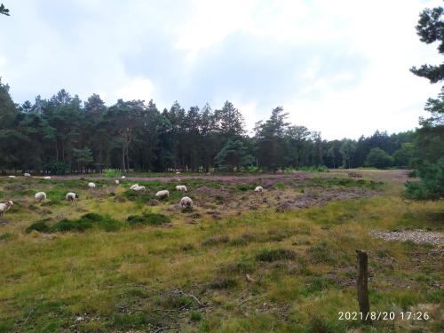 A környék, Oeroeboeroe in Leeuwarden városközpont