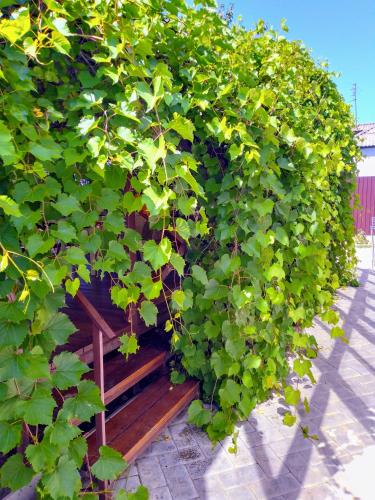 Guest House on Tamanskaya 101 - image 6