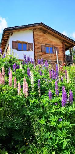 grosses Ferienhaus mit Sauna im Skigeb. Obersaxen