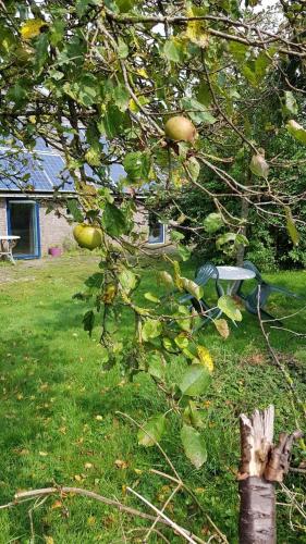 Logeerruimte in gerenoveerde boerderij in Wachtum