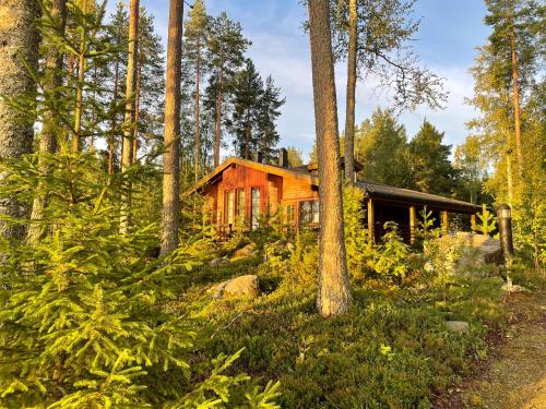 Saarilandia, Savonlinna