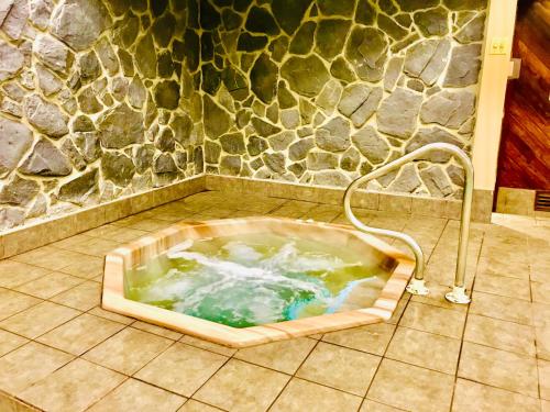 Beech Mountain Mile High Ski Suite in Beech Mountain, USA