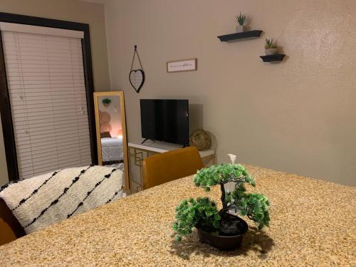 Dallas Comfy Studio Apartment - image 12