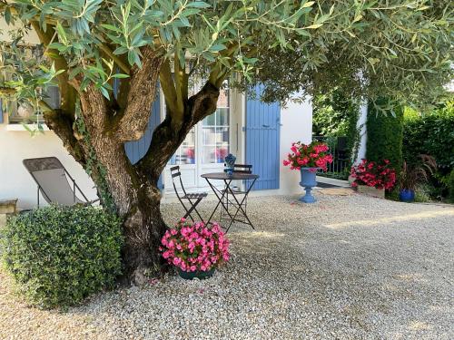 CHAMBRE D'HOTES "Les Volets Bleus" - VILLA L'OLIVIER côté mer