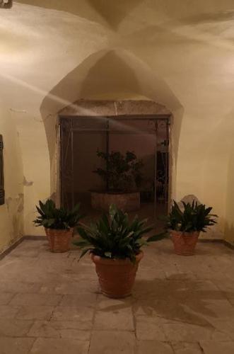 Les maisons coco
