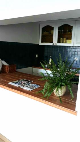 Apartment Panorama Apartment Panorama