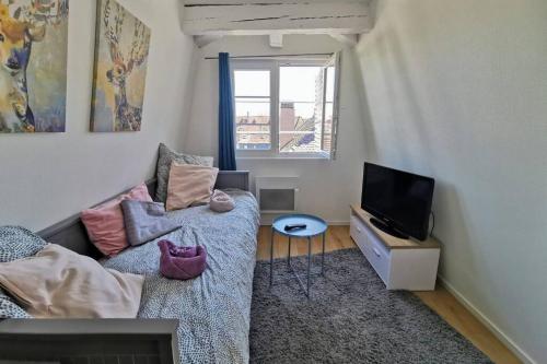 ** appartement cathédrale Strasbourg centre**