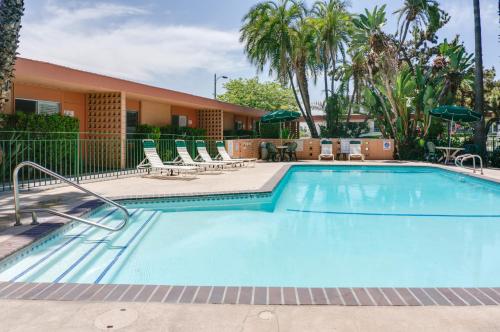 Saga Motor Hotel Pasadena - 수영장