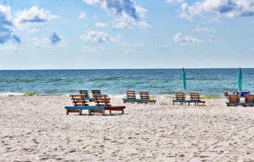 Ocean Reef 106 by Youngs Suncoast