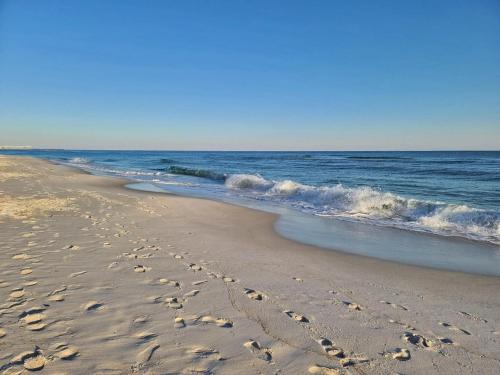 Phoenix Orange Beach 2004 by Youngs Suncoast - image 2