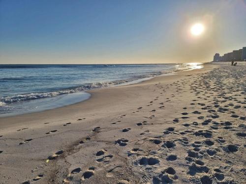 Phoenix Orange Beach 2004 by Youngs Suncoast - image 9