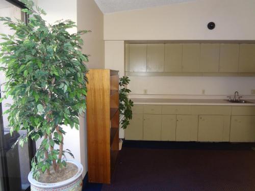 Canterbury Place Ocean View 3BR - image 22