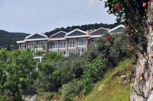 Rezone Health & Oxygen Hotel