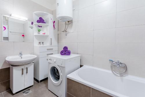 Mountain View Apartment - image 8