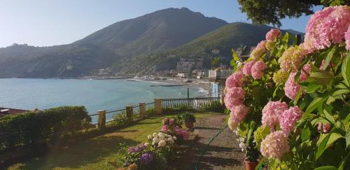 Apartment Tramonto - Accommodation - Levanto