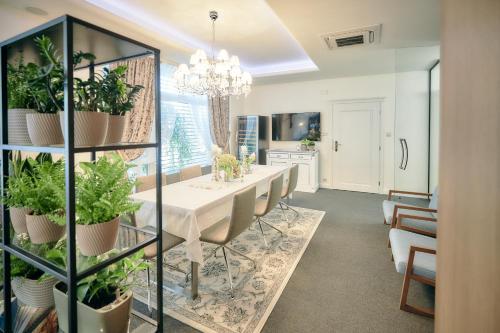 Executive Suite with Garden