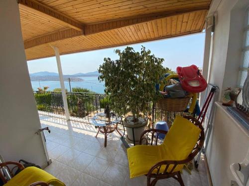 Siga Siga Apartment Room Type - Apartment - Ground Floor Siga Siga Apartment Room Type - Apartment - Ground Floor