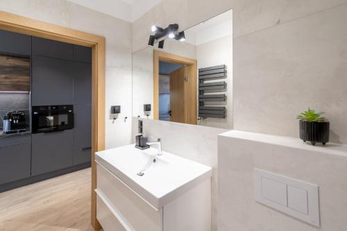 One-Bedroom Apartment image 10