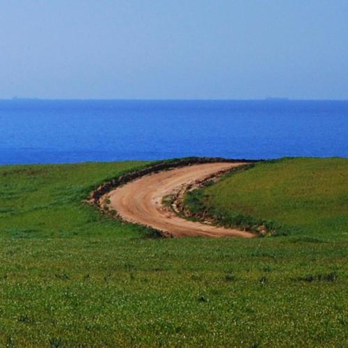 Pure Flor de Esteva - Bed & Breakfast - image 5