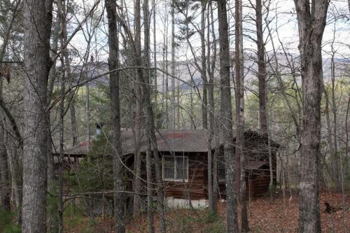 Forrest Hills Mountain Resort Over view