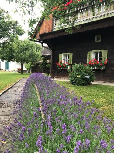 Bauernhaus Süd- West- Steiermark für Radfahrer, Familien- und Feste mit Freunden - Sankt Martin im Sulmtal