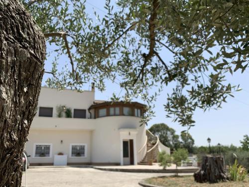 Exterior view, Villa Ombrosa - Pleasant house in Valle d'Itria in Mita