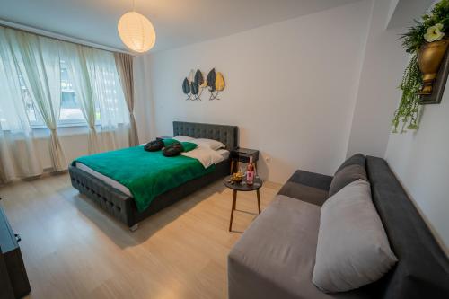 CORESI VIBE STUDIO 5