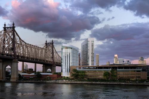 316567715 Graduate by Hilton New York
