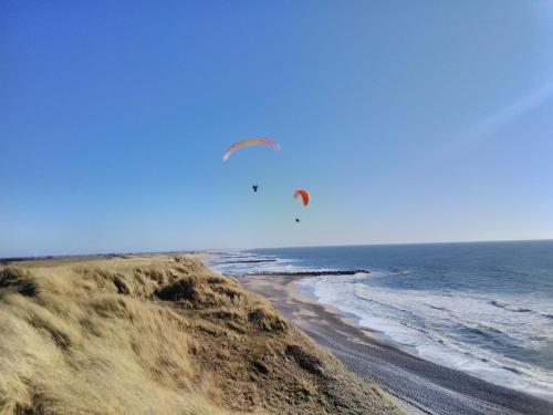 Voltants, Rikke og Franks Svineri in Lemvig