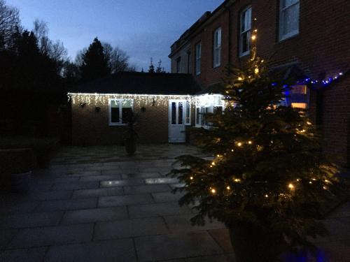 Charming 1-Bedroom Apartment near South Downs in Hellingly