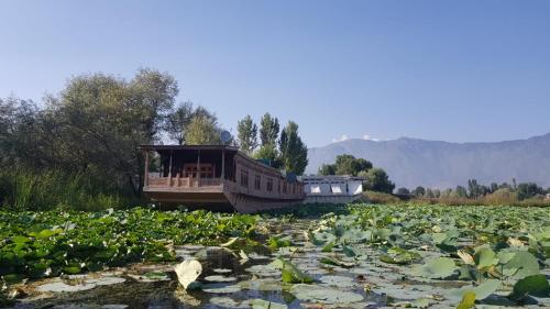 Kings Houseboats - image 2