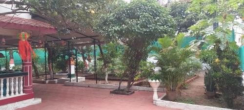 Chloro Villa 2BHK