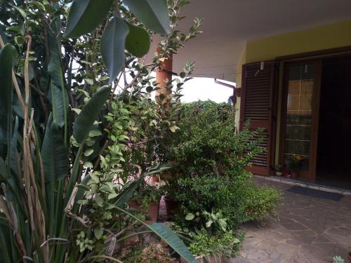  La conchiglia in Masainas