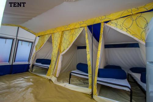 wurfzelt kaufen in der nähe Pop Up für 2-3 Personen blau, grün oder Silber Enfant Camping Tent Geertop Tent CHOOSE YOUR SIZE:CLEAR 18' X 20' H.D. TARP