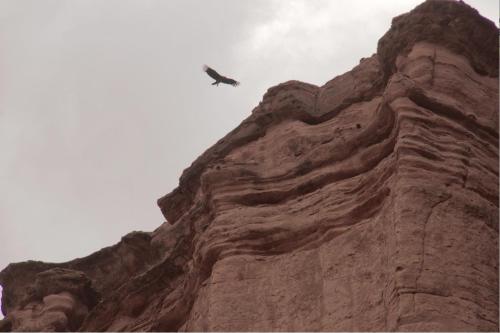 El Chiflon Posta Pueblo