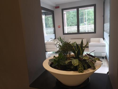 Hotel Daunia - image 3