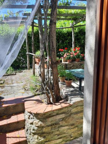 La casa in giardino