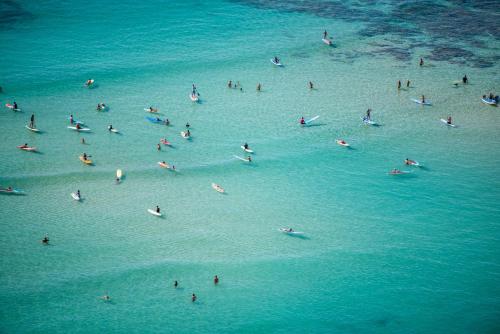 Hawaiian Monarch 2010 condo - image 11