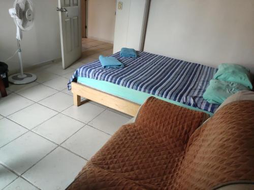 HN Junior Suite
