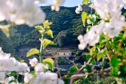  Villa Kamilakis Escape To Nature in Áyios Pandeleḯmon