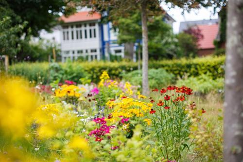null Gästehaus Matzen Whg Sylt - image 12