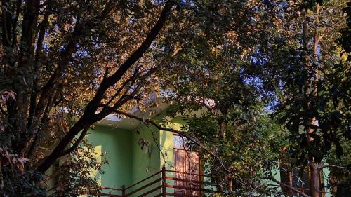 WILD KUMAON